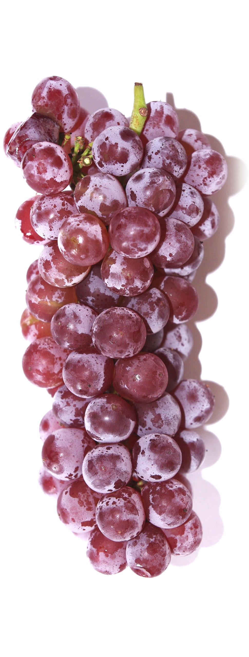 grapes